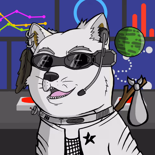 DogeX#5111