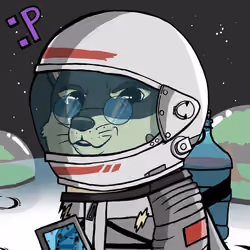 DogeX#1218