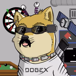 DogeX#1761