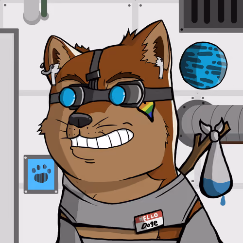 DogeX#1764