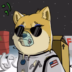 DogeX#5588