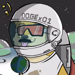 DogeX#9714