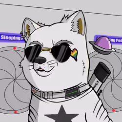DogeX#5563
