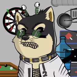 DogeX#1097