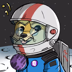 DogeX#1963