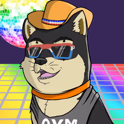 DogeX#8457