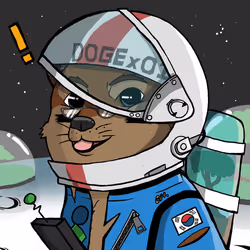 DogeX#8711