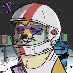 DogeX#4595