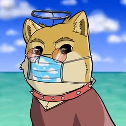 DogeX#9612