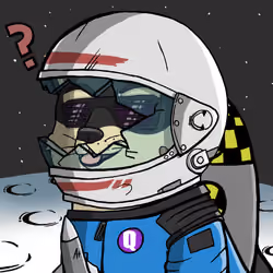 DogeX#2598