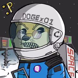 DogeX#6204