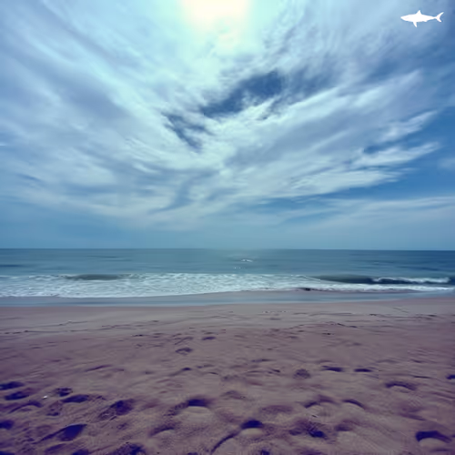 Shark Anthony Ocean Lullaby