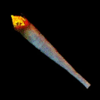 Just A Blunt