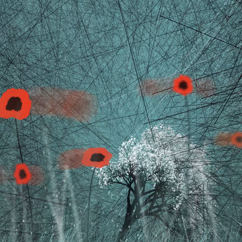 Poppies in the Wind Patron Edition
