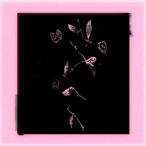Kvlteditions
