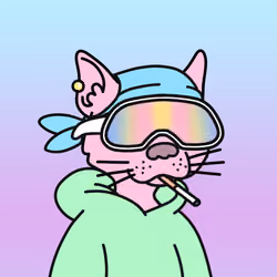 Doodle Gutter Cat #672