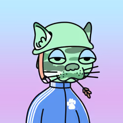 Doodle Gutter Cat #674