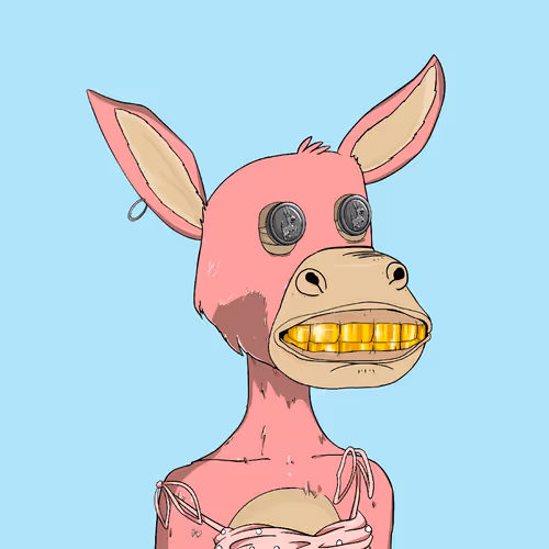 Donkeyexoticcarclub