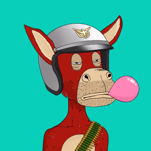 Donkeyexoticcarclub