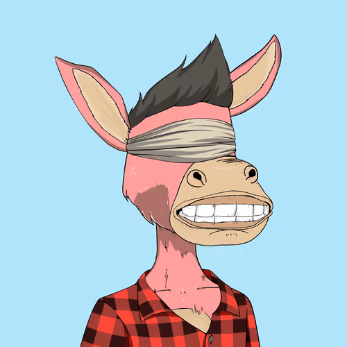 Donkeyexoticcarclub