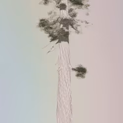 46