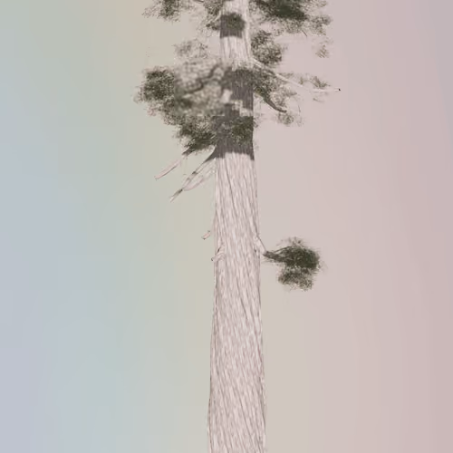 _mintForest Redwood #46