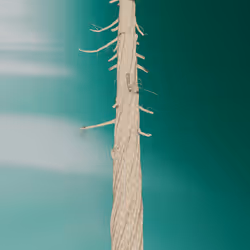37