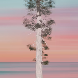 40