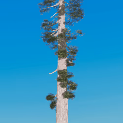 91