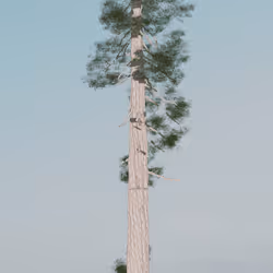 96