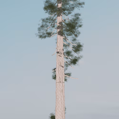 96