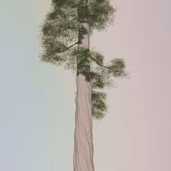 84