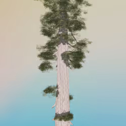 114