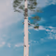 59