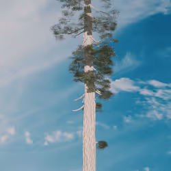 107