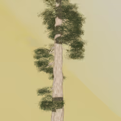 115