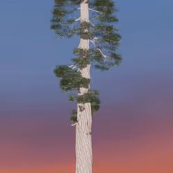 89