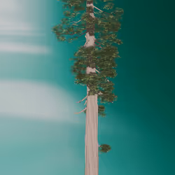 81
