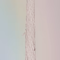 72