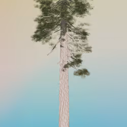 58