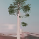 93