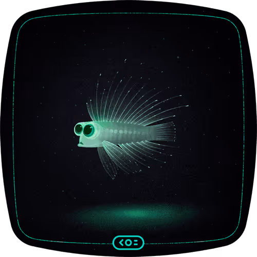 Koi Metaverse