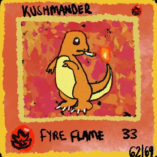 KUSHMANDER 62/69