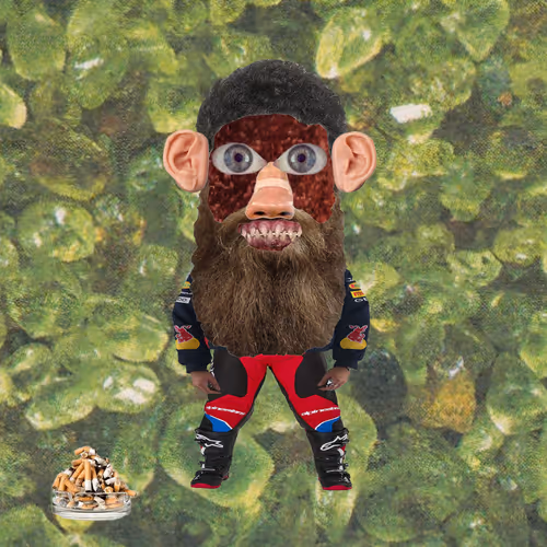 gnome #1102