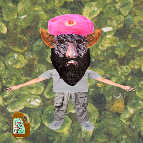 gnome #756