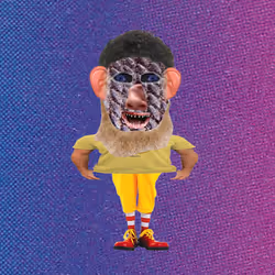 gnome #572