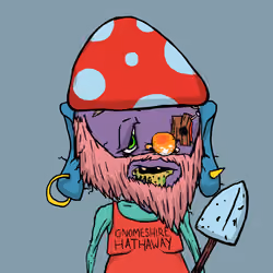 Gnomeville #2495
