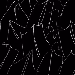 81