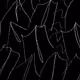 81
