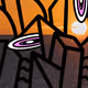 110